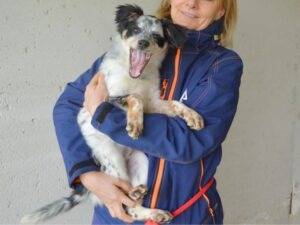 Adotta un cane, femmina, 6 mesi, Roma