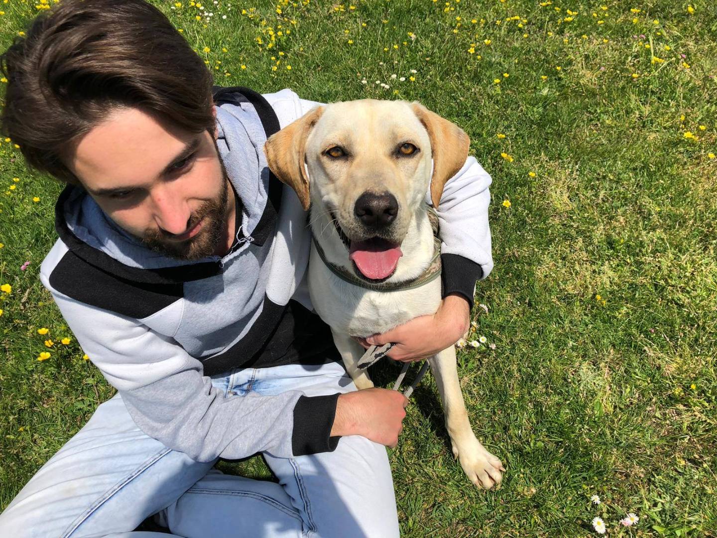 Vuoi adottare un cane a Caserta?