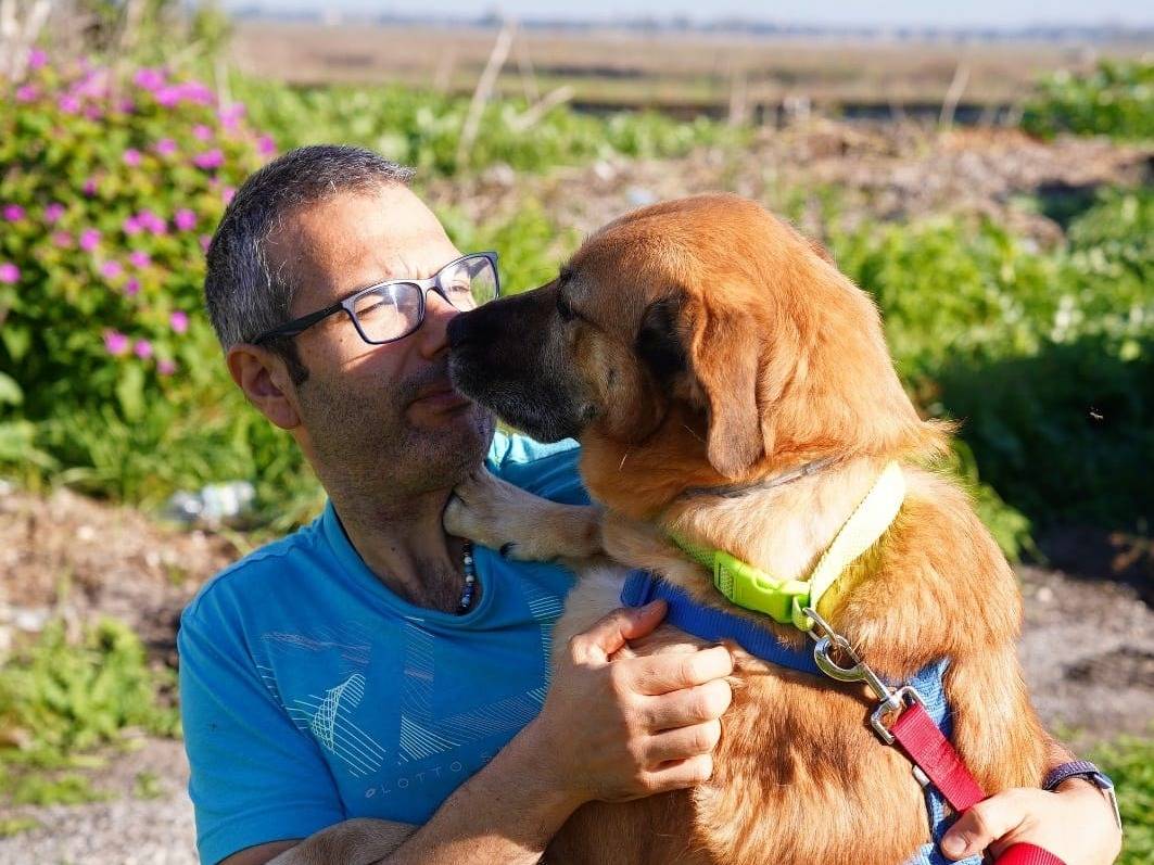 Vuoi adottare un cane a Caserta?