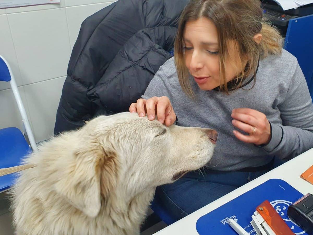 Vuoi adottare un cane a Asti?