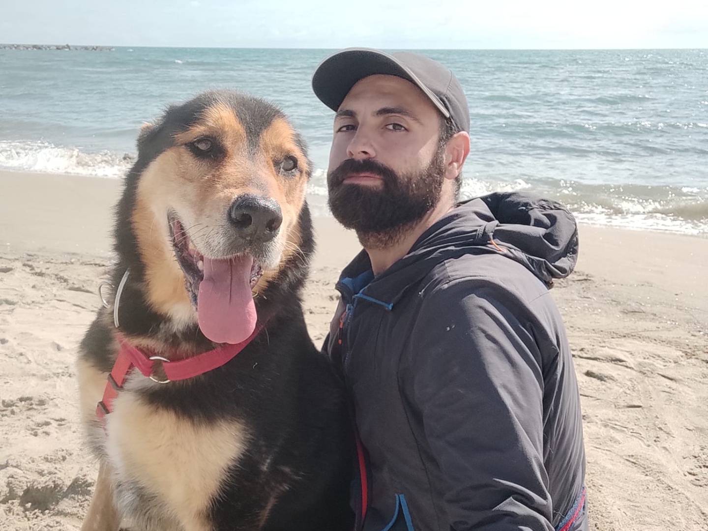 Foto dell'animale