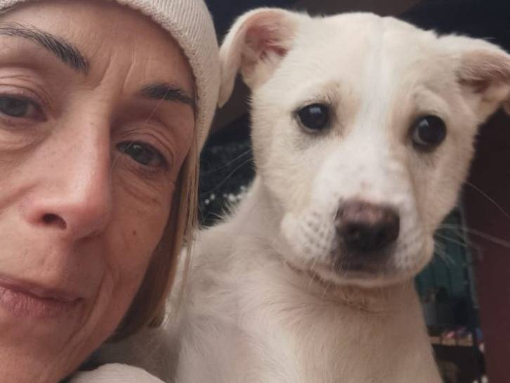 Foto dell'animale
