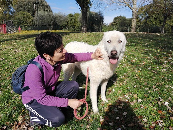Foto dell'animale