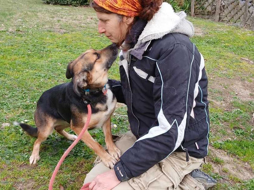 Vuoi adottare un cane a Roma?
