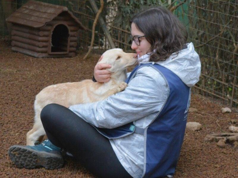 Adotta un cane, femmina, 4 mesi, Roma