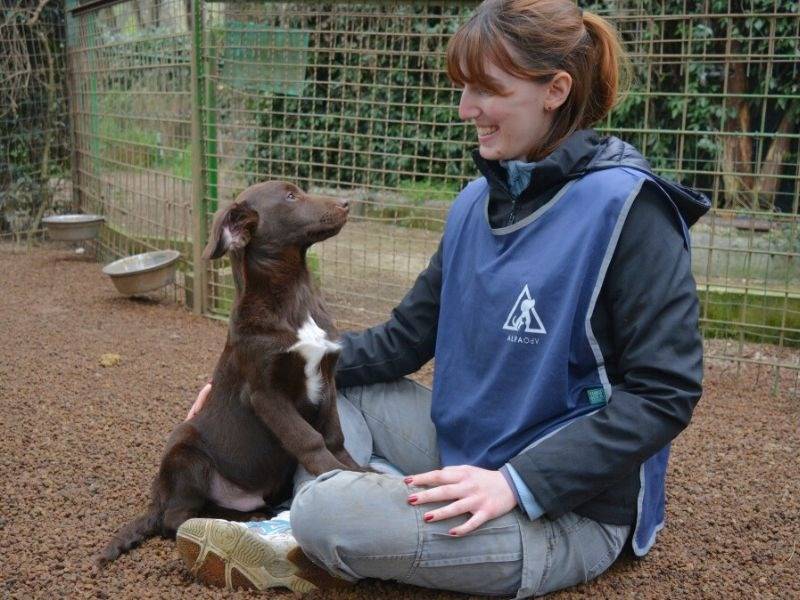 Vuoi adottare un cane a Roma?