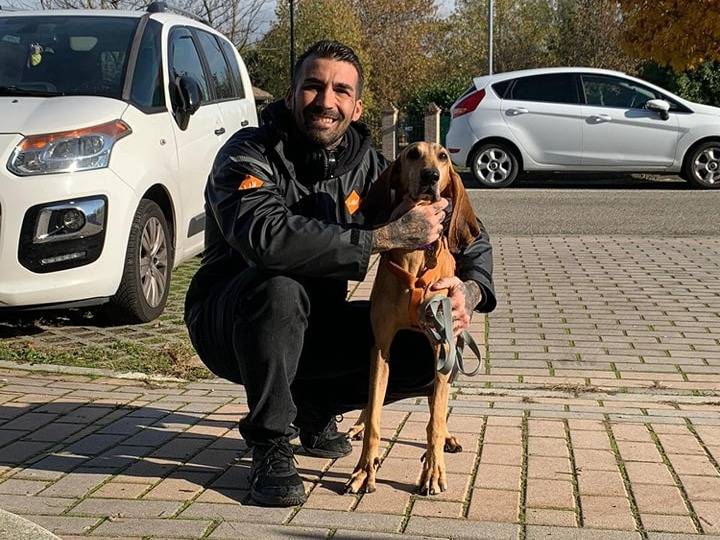 Adotta un cane, maschio, 9 anni , Pistoia