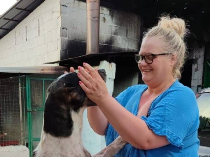 Vuoi adottare un cane a Avellino?