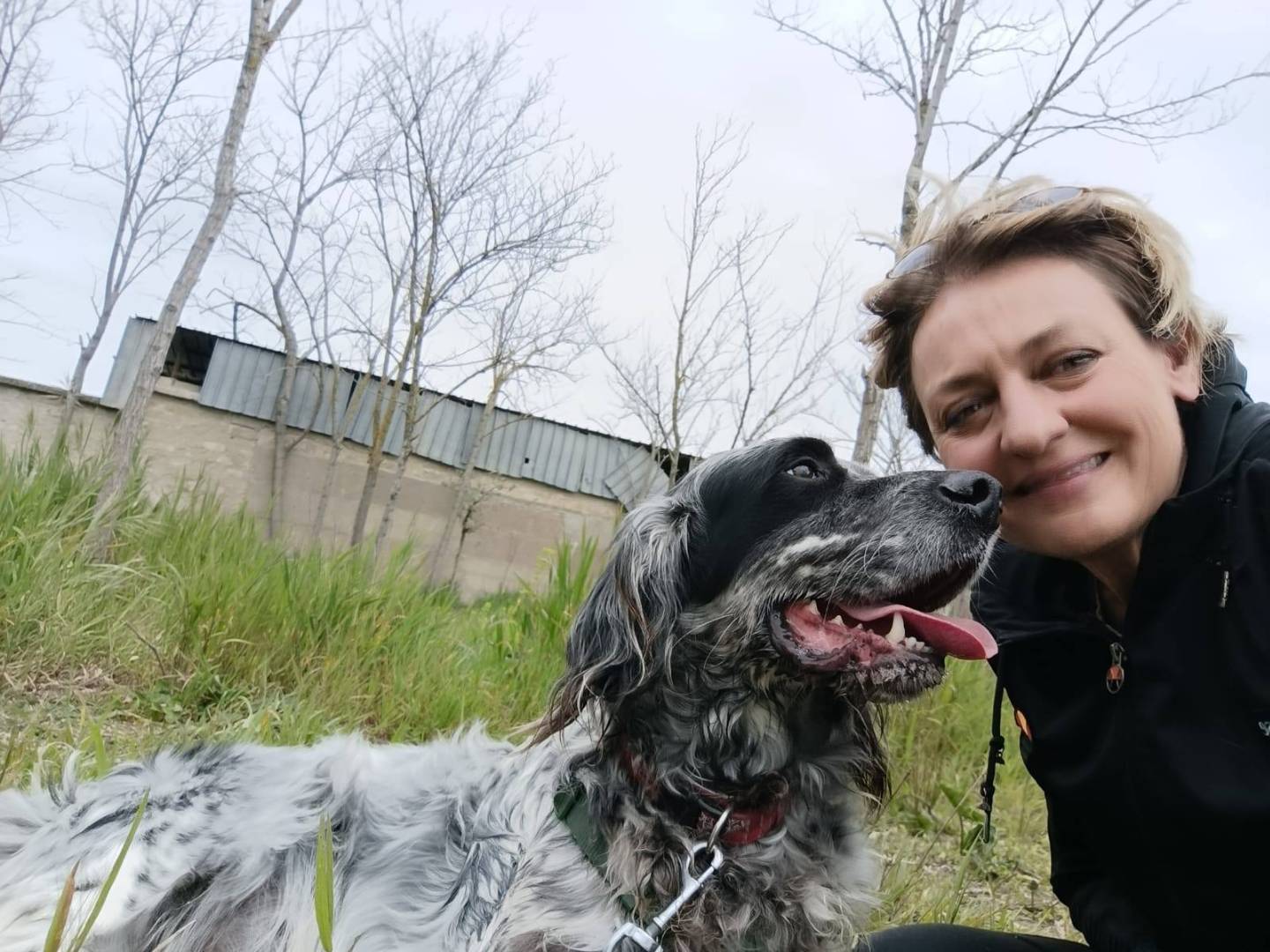 Adotta il cane PUPPY  a Caserta