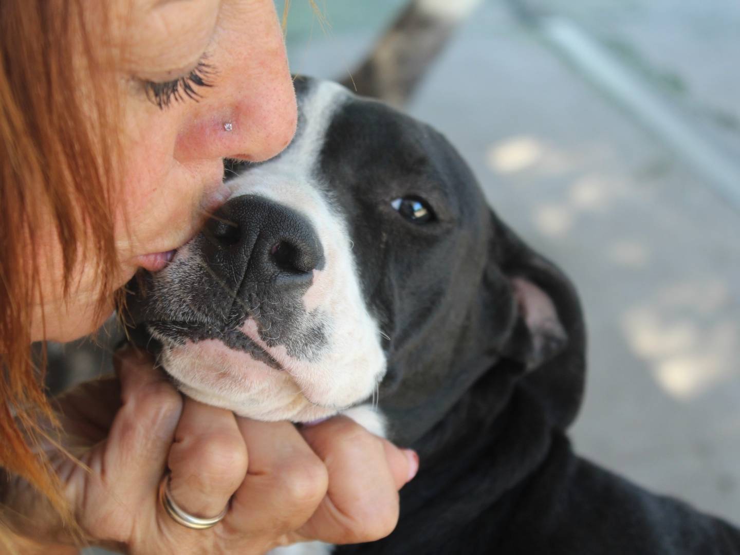 Adotta un cane, femmina, 1 anno e 2 mesi , Roma