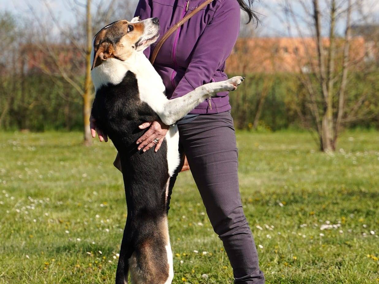 Foto 3 dell'animale