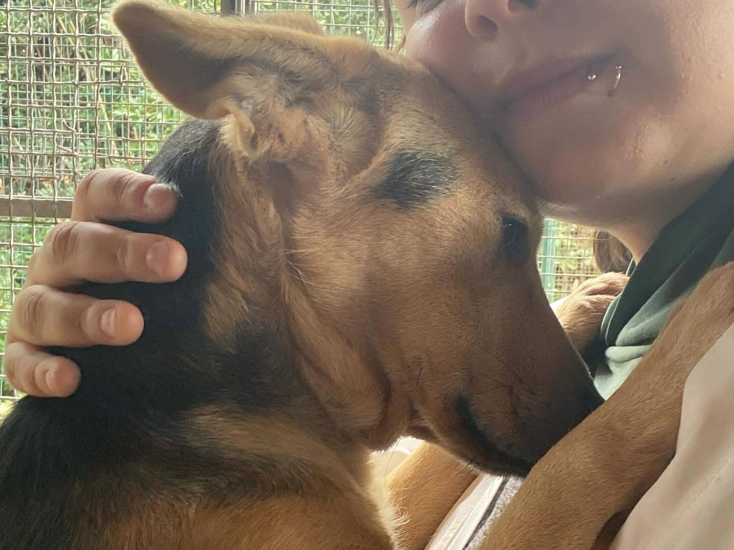 Adotta il cane Flipper a Latina