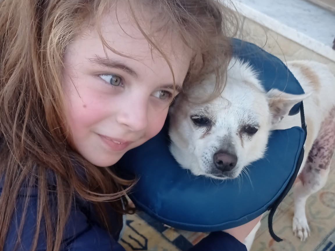 Adotta un cane, femmina, 6 anni  e 11 mesi , Matera