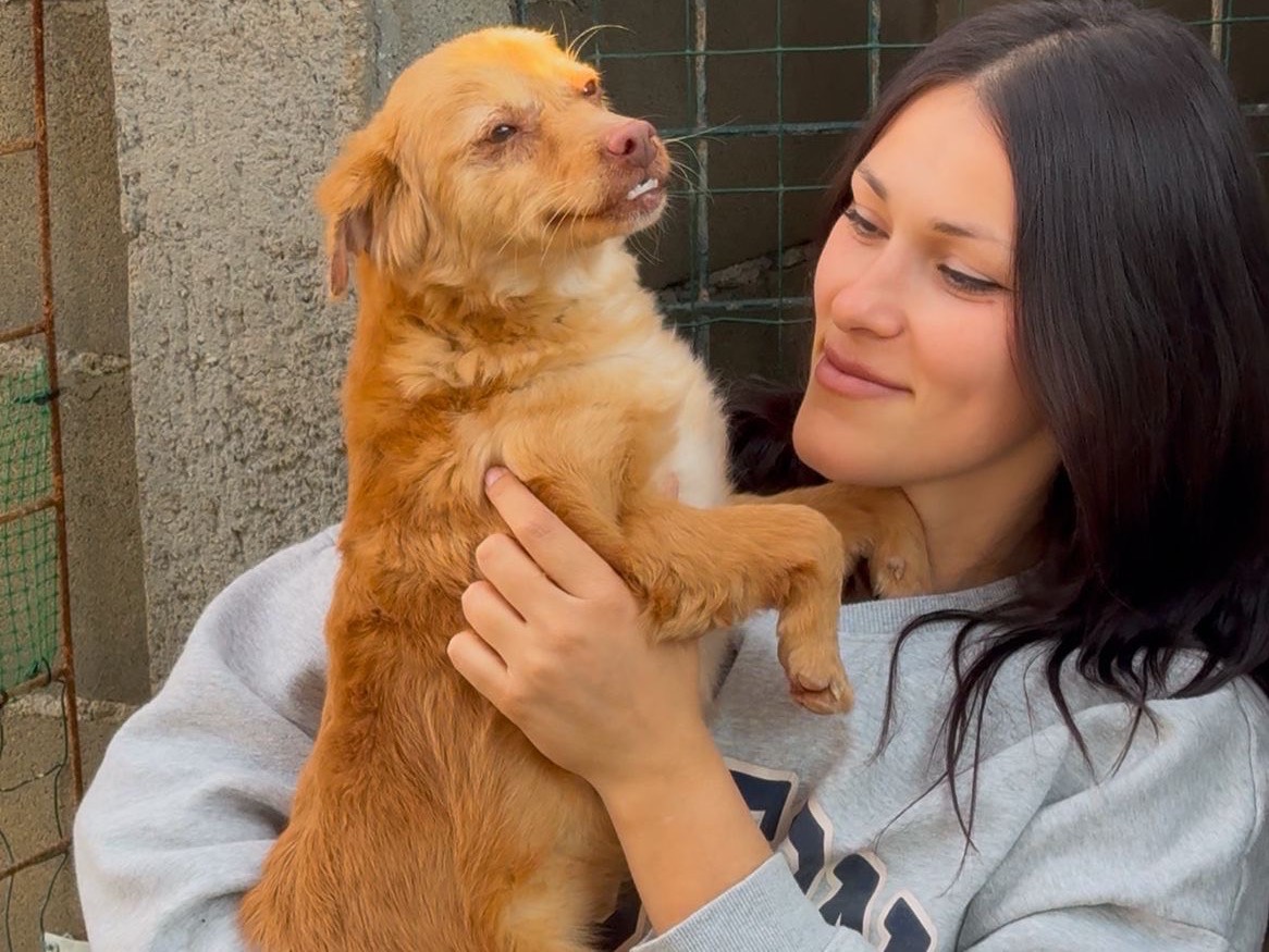 Adotta un cane, femmina, 3 anni  e 2 mesi , Catanzaro