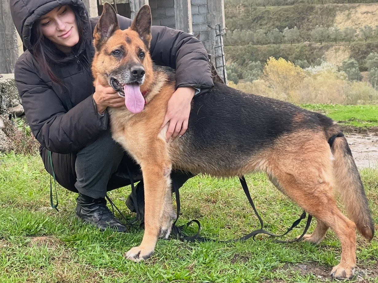 Foto dell'animale