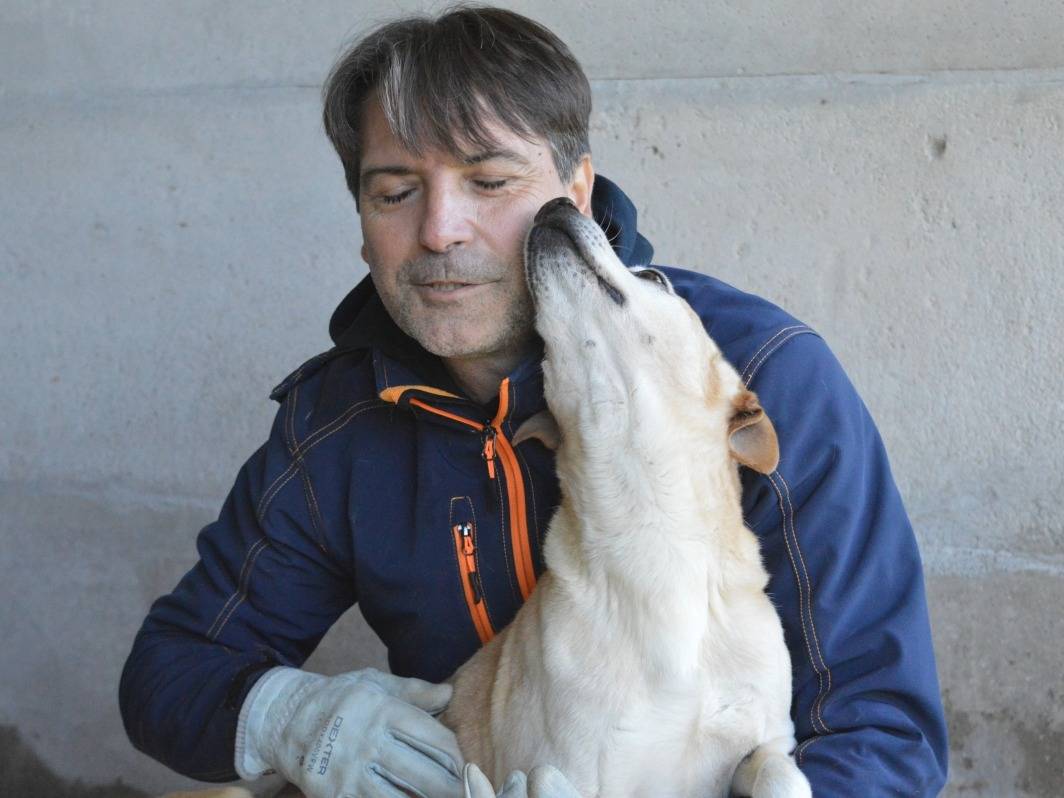 Adotta il cane Jimmy a Roma