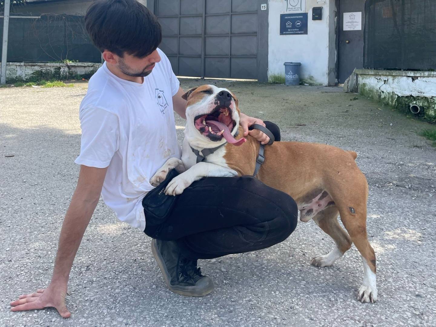 Foto dell'animale