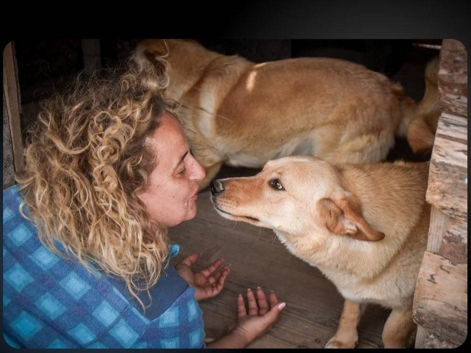 Foto 3 dell'animale