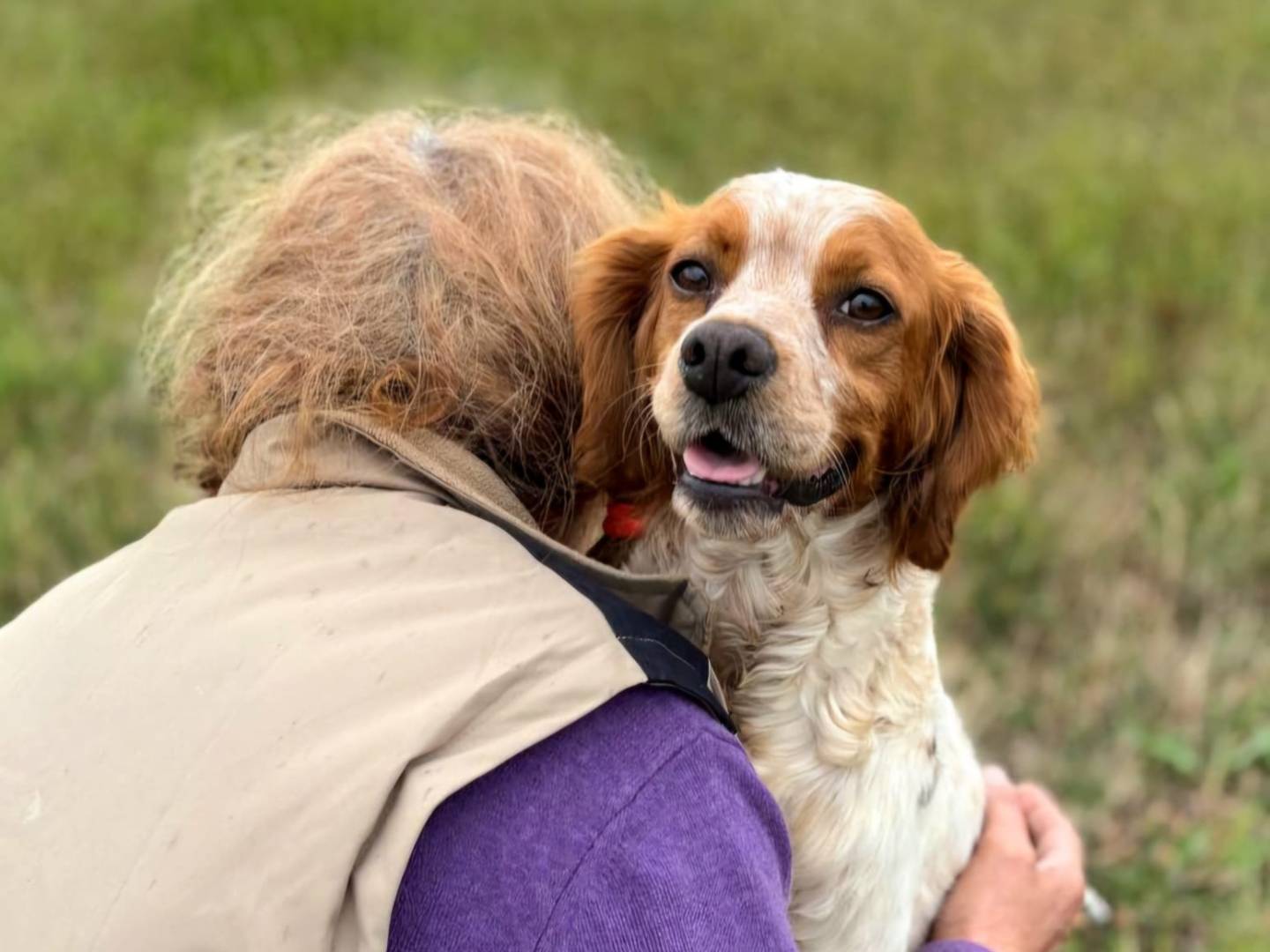 Adotta un cane, taglia media contenuta, femmina, Latina