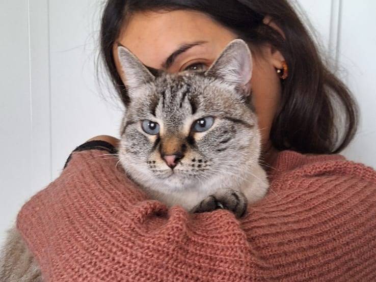Foto dell'animale