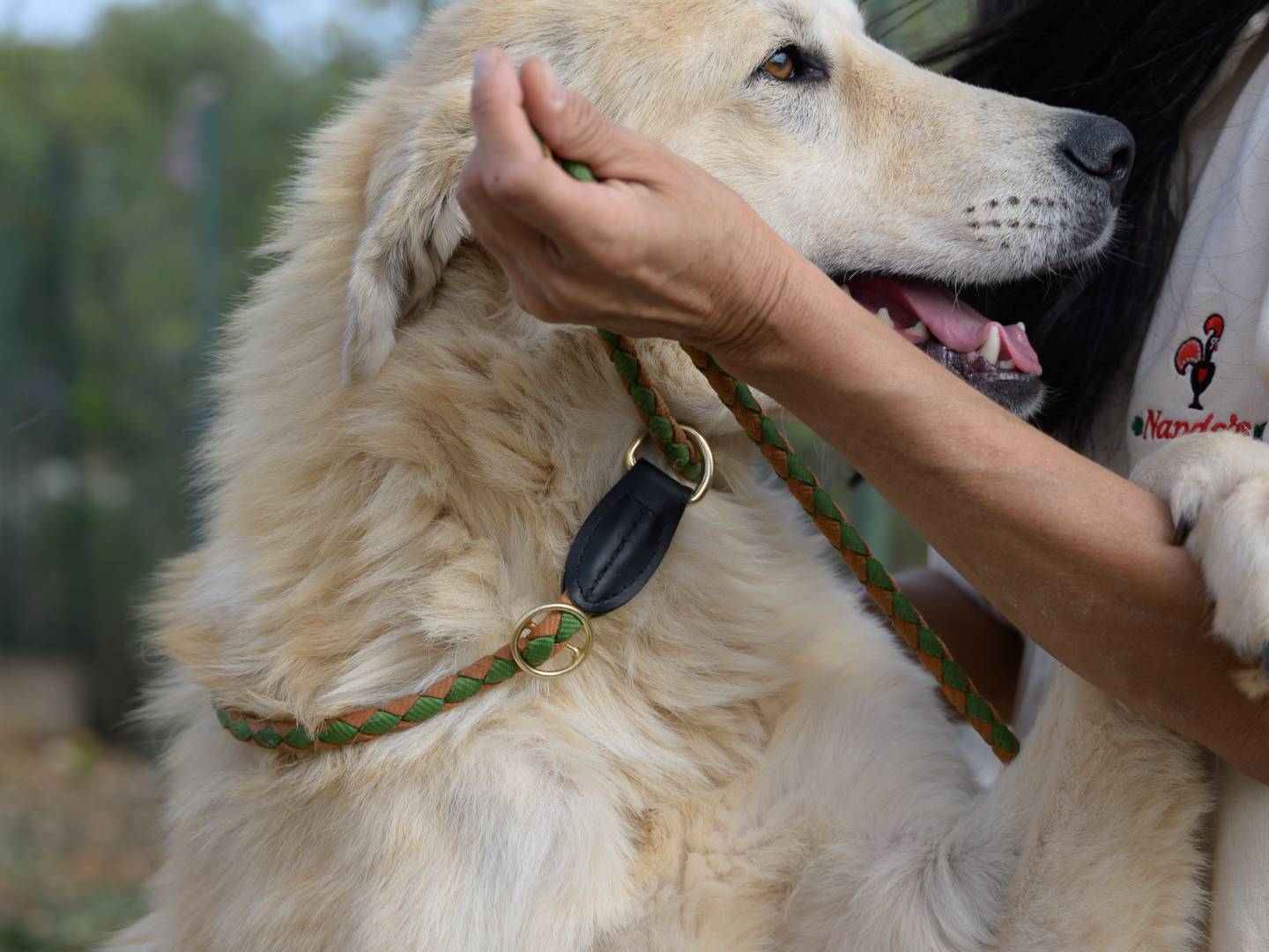 Foto dell'animale