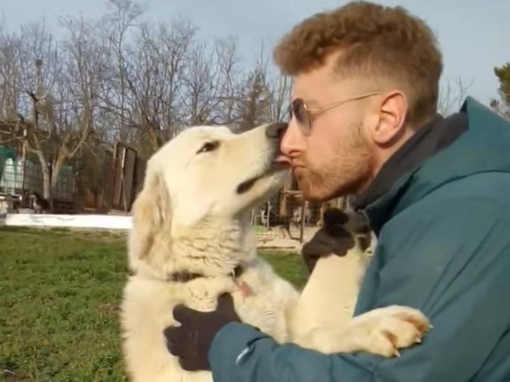 Vuoi adottare un cane a Potenza?