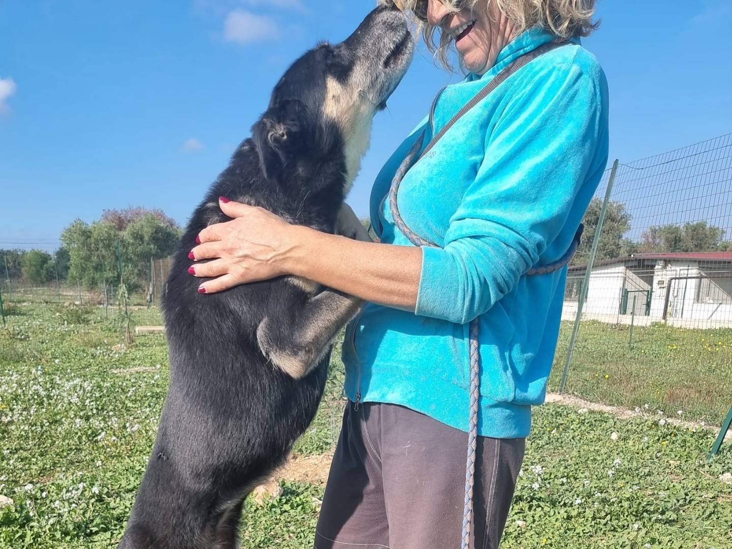 Foto 2 dell'animale