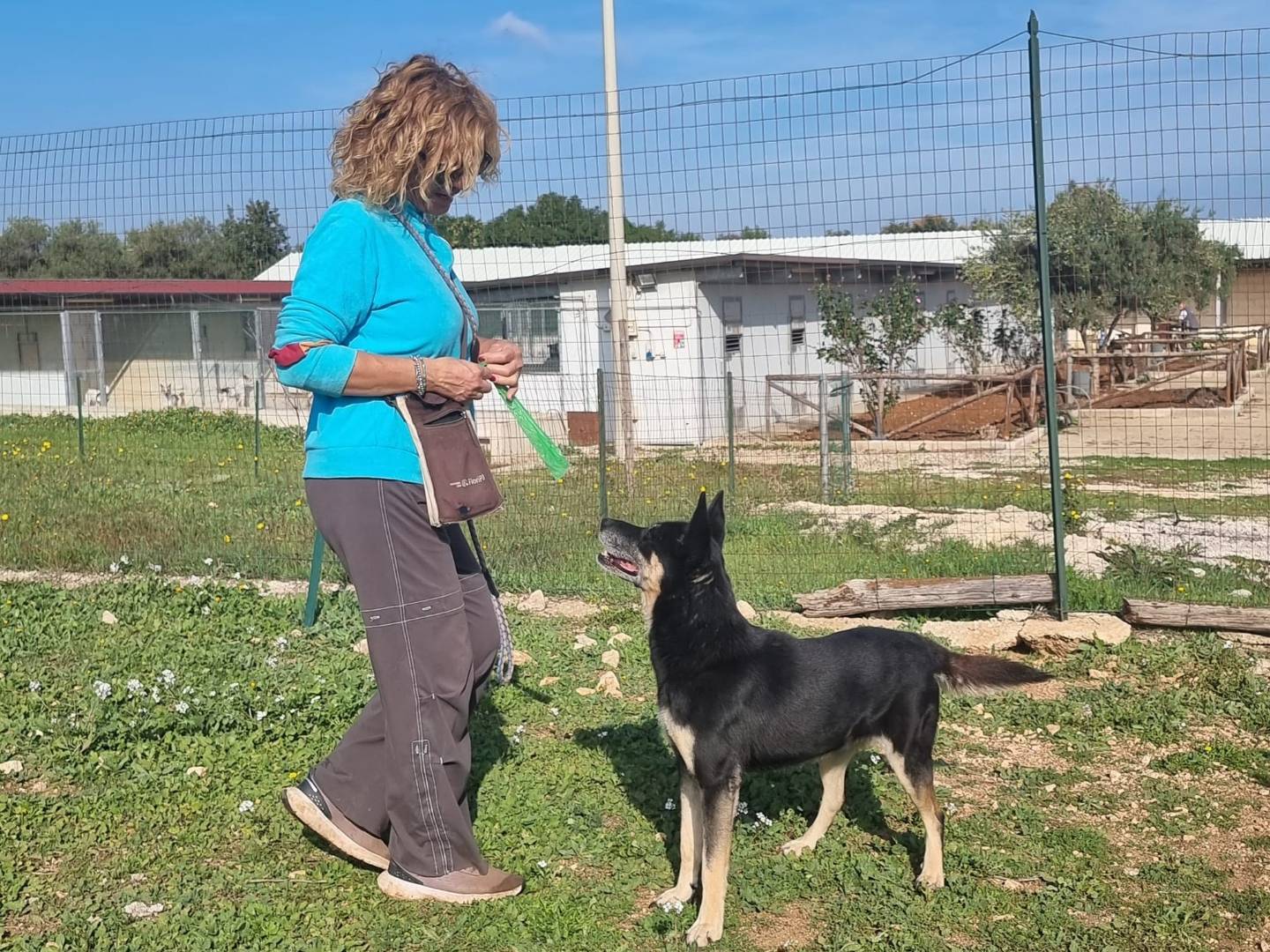 Vuoi adottare un cane a Bari?