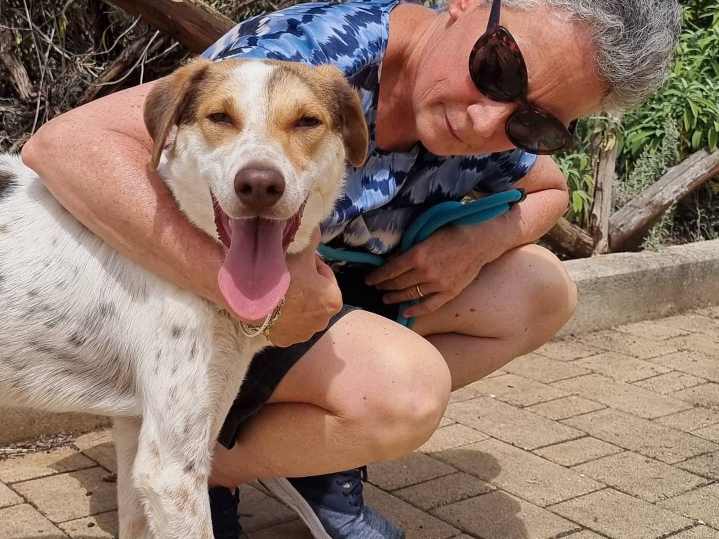 Foto dell'animale