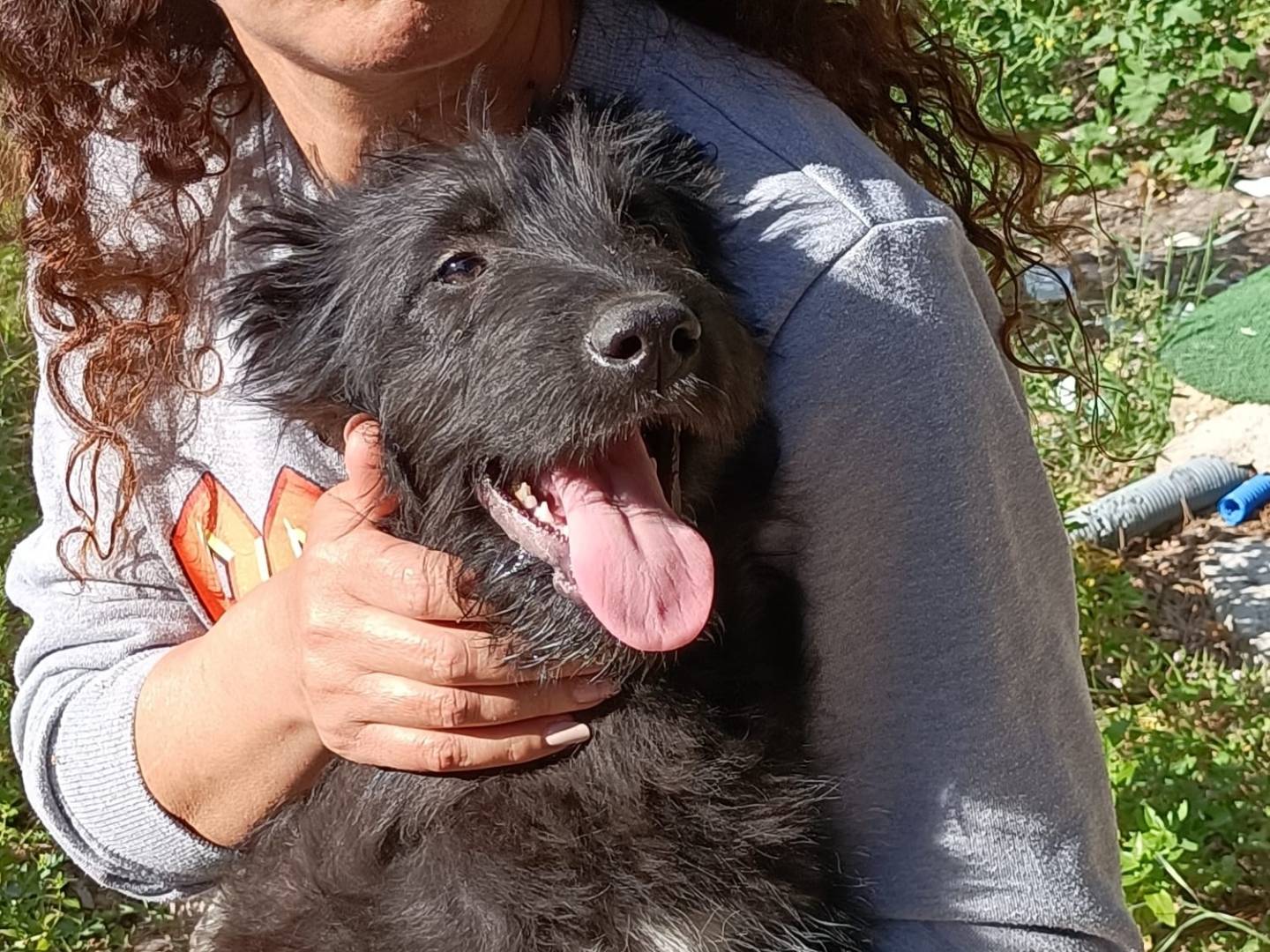 Foto dell'animale