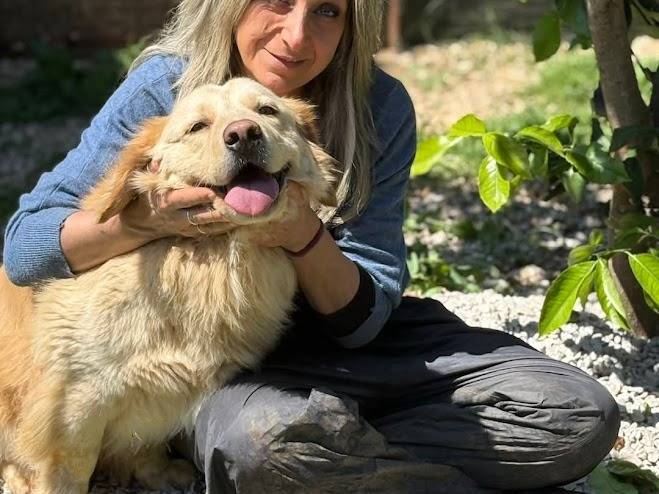 Adotta un cane, maschio, 6 anni  e 2 mesi , Palermo