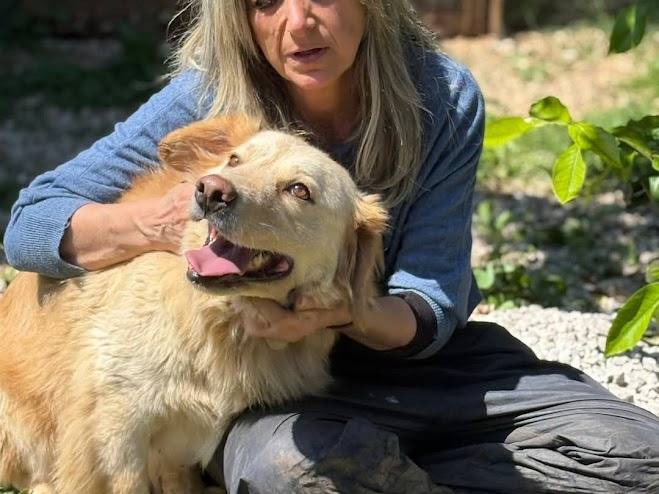 Adotta il cane OSCAR a Palermo