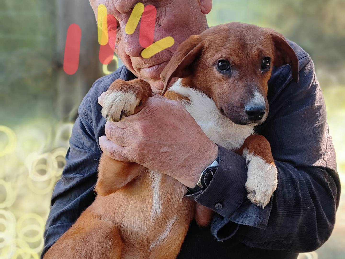 Foto dell'animale