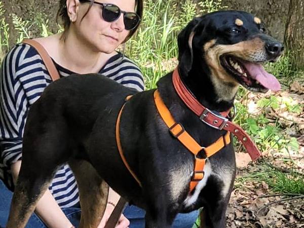 Adotta il cane SKYLAR a Milano