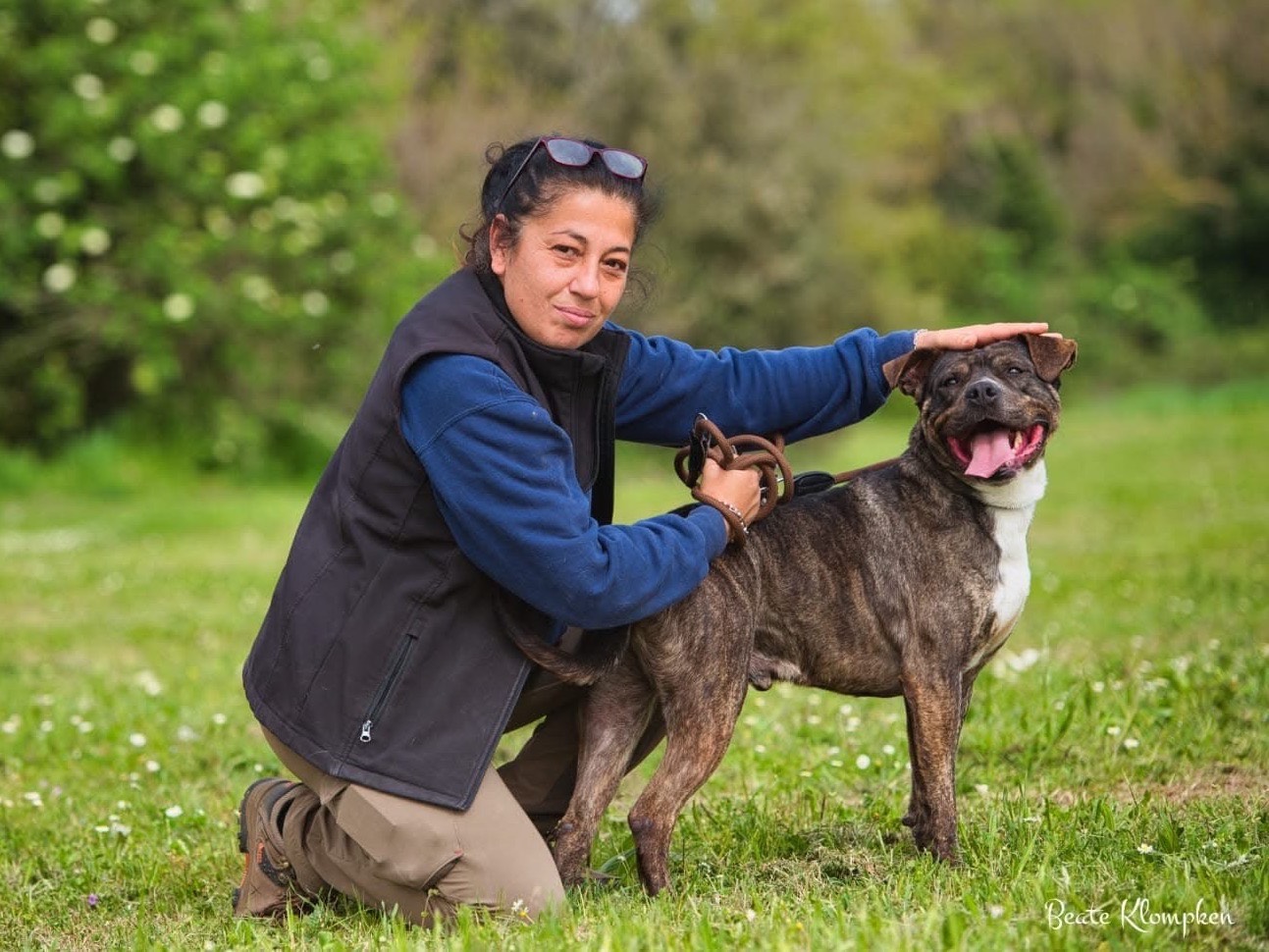 Adotta un cane, taglia media, maschio, Roma