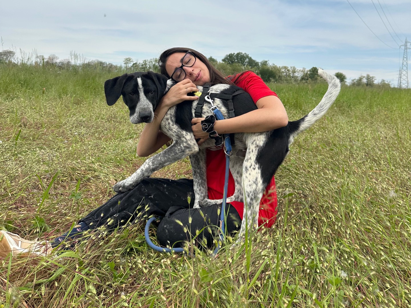 Adotta il cane Curry  a Milano