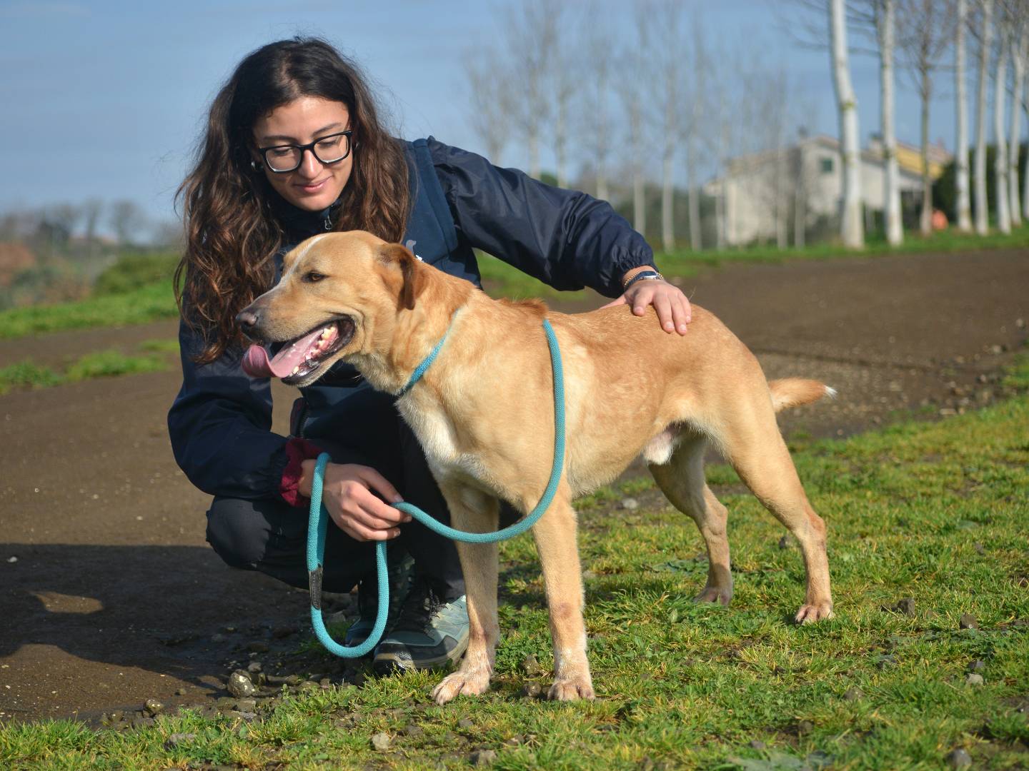 Adotta un cane, maschio, 5 anni , Roma