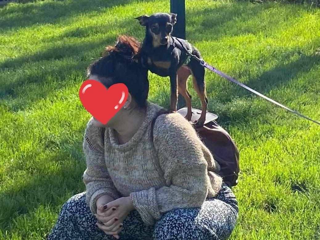 Adotta un cane, taglia piccola, femmina, Firenze
