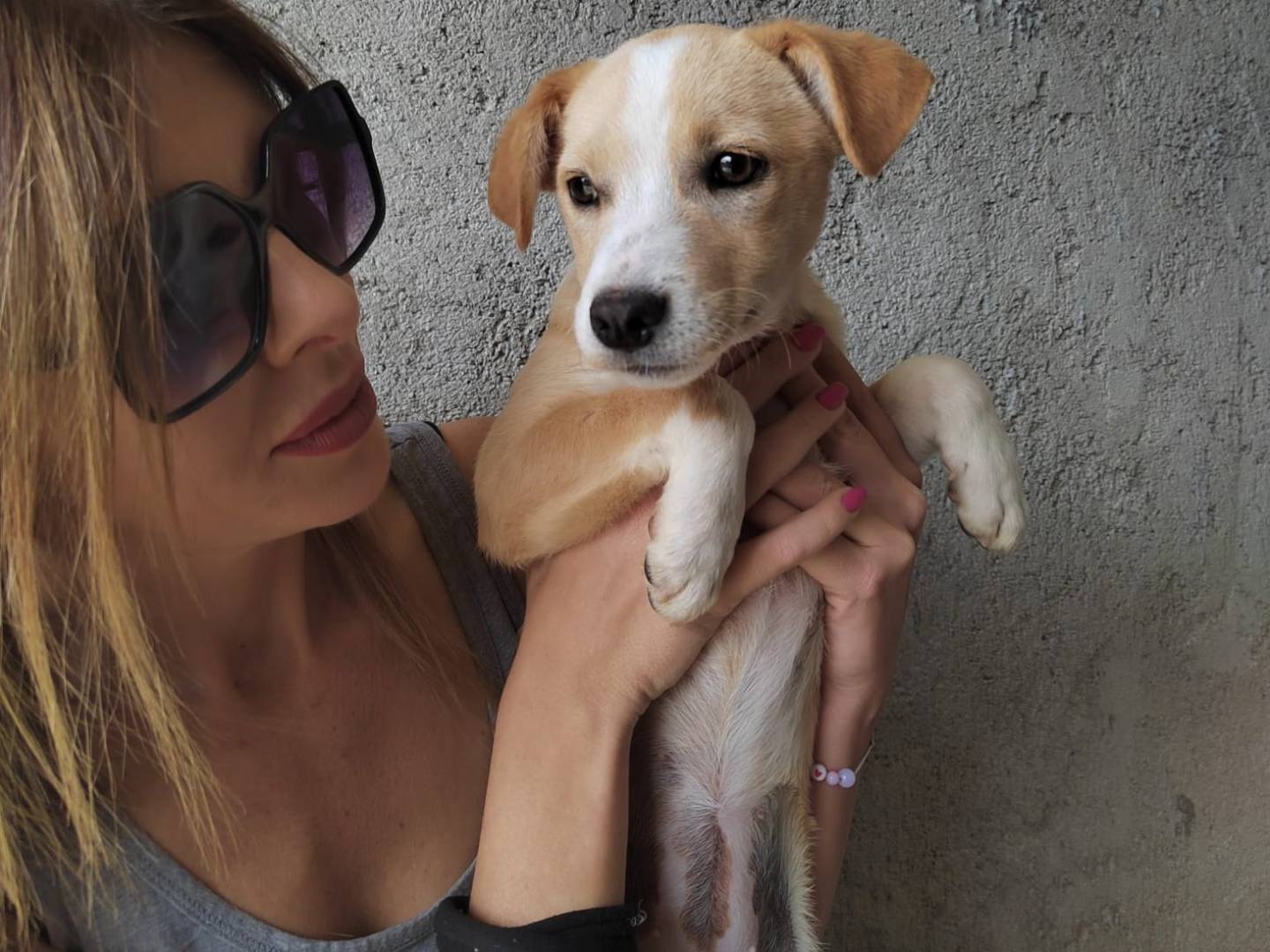 Foto dell'animale