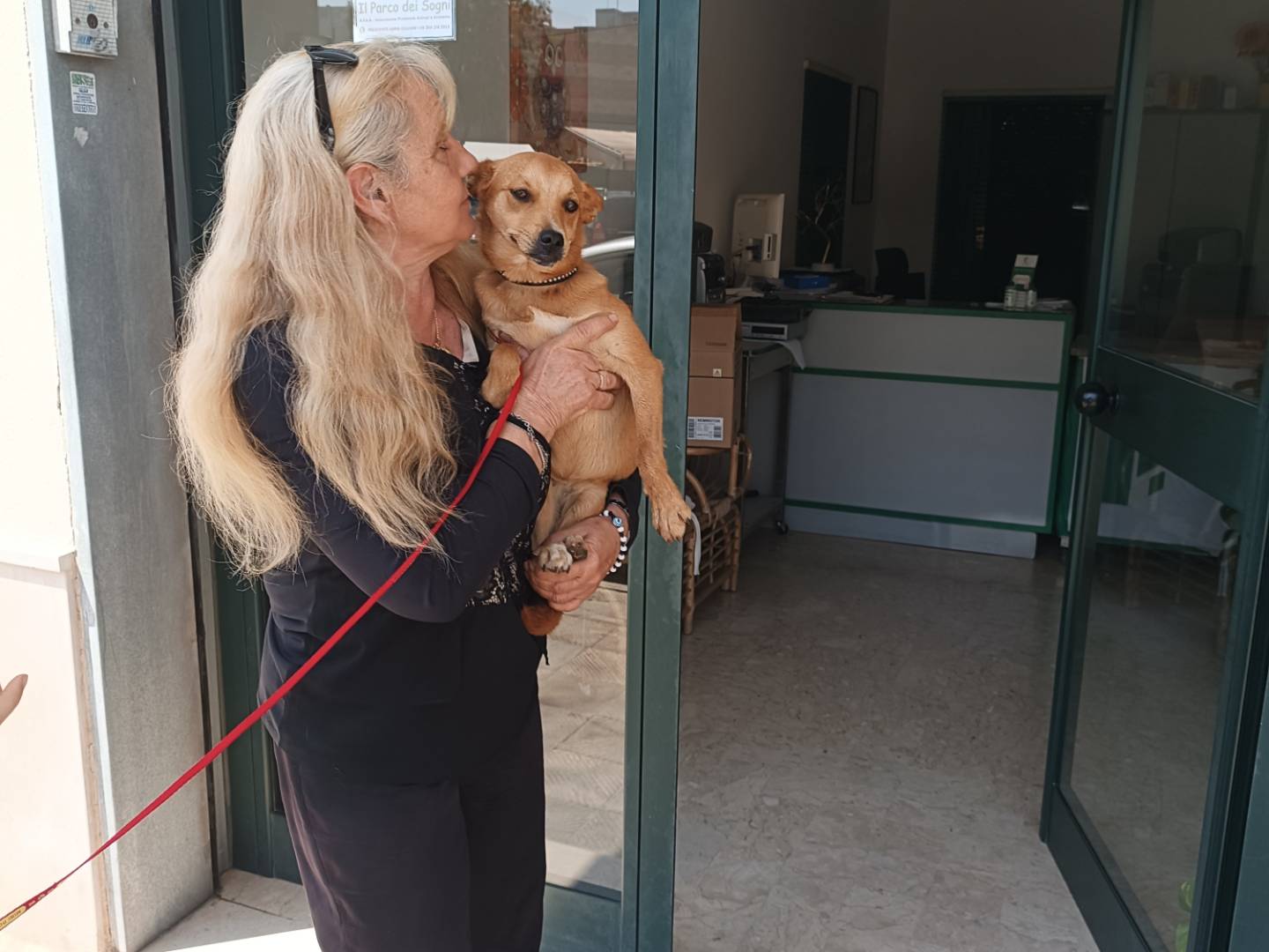 Adotta un cane, taglia piccola, femmina, Taranto