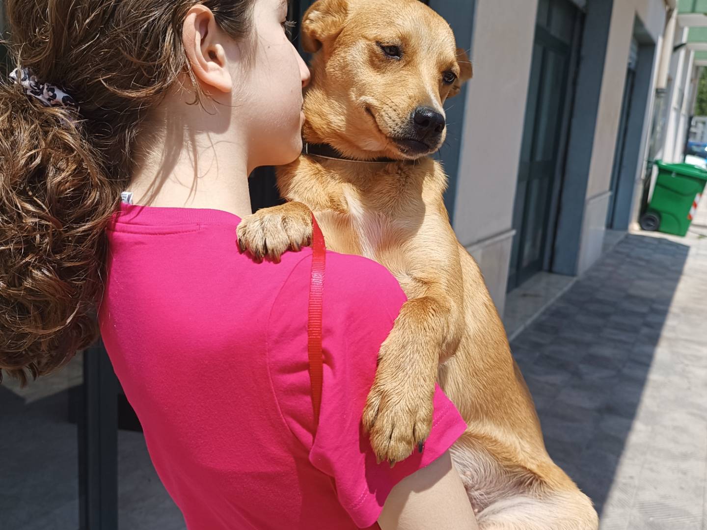 Adotta il cane Selene a Taranto