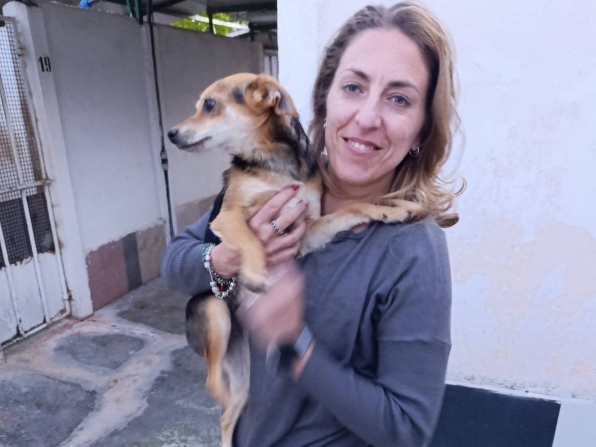 Adotta un cane, taglia piccola, femmina, Catanzaro