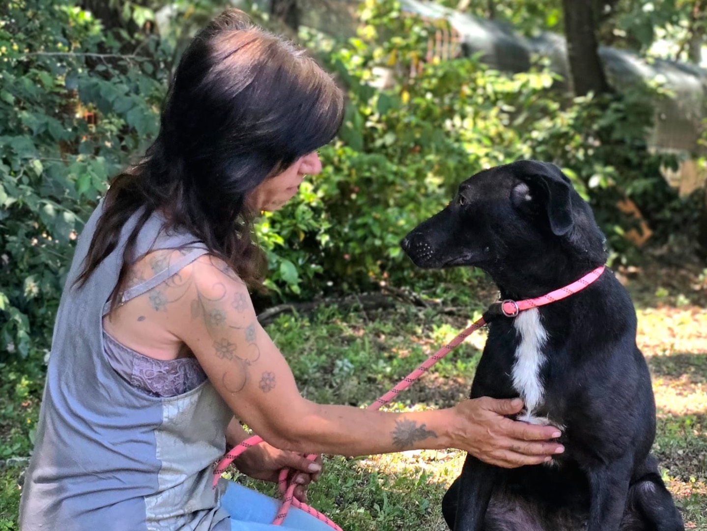 Adotta un cane, femmina, 11 mesi, Roma