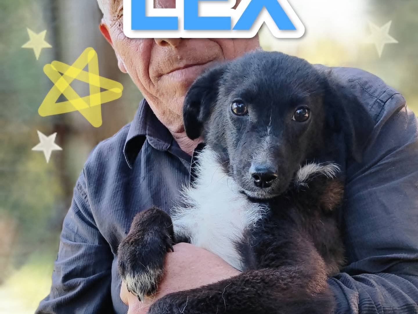 Adotta un cane, maschio, 5 mesi, Milano