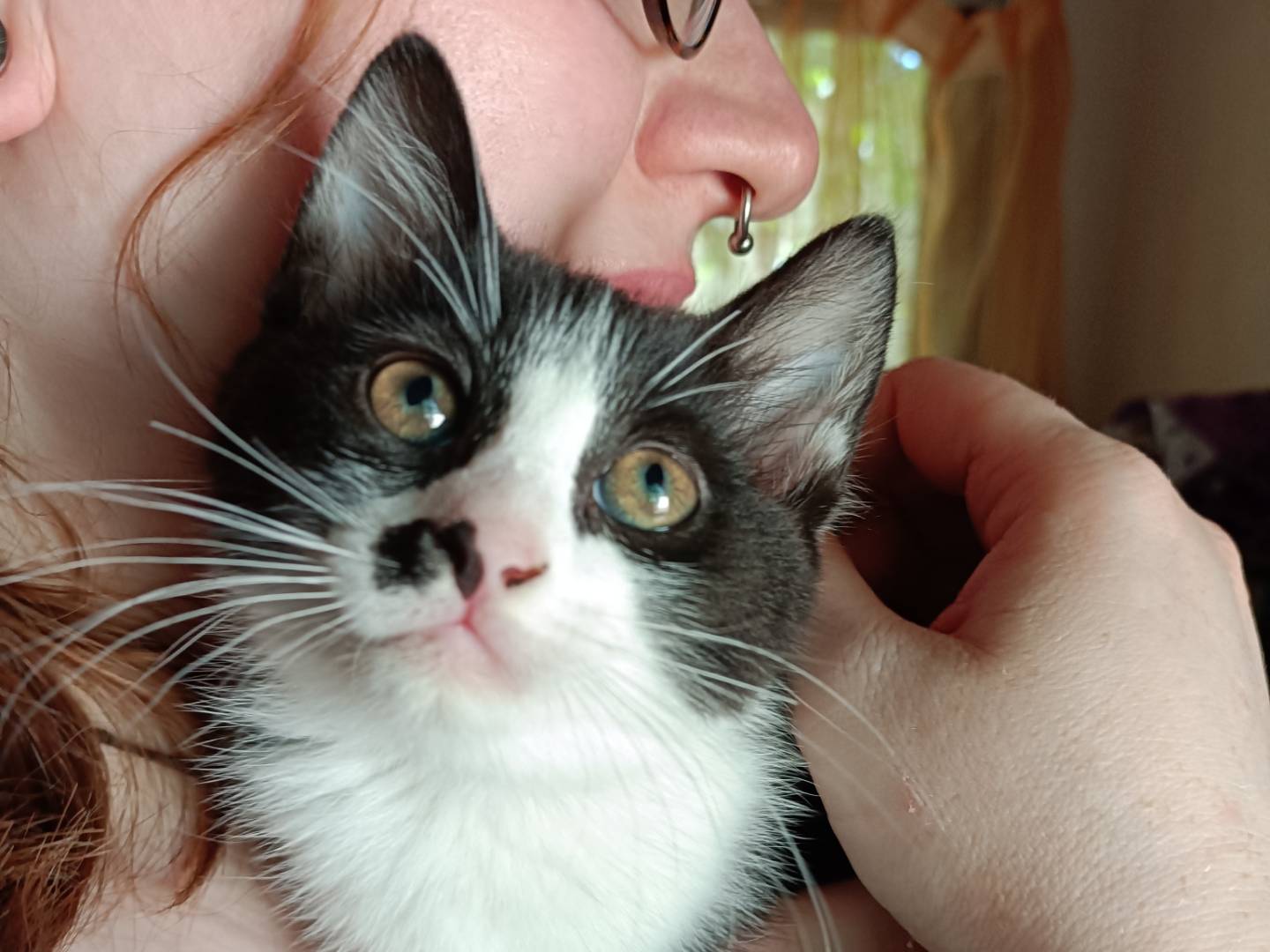 Foto dell'animale