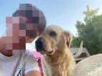 Foto 2 dell'animale