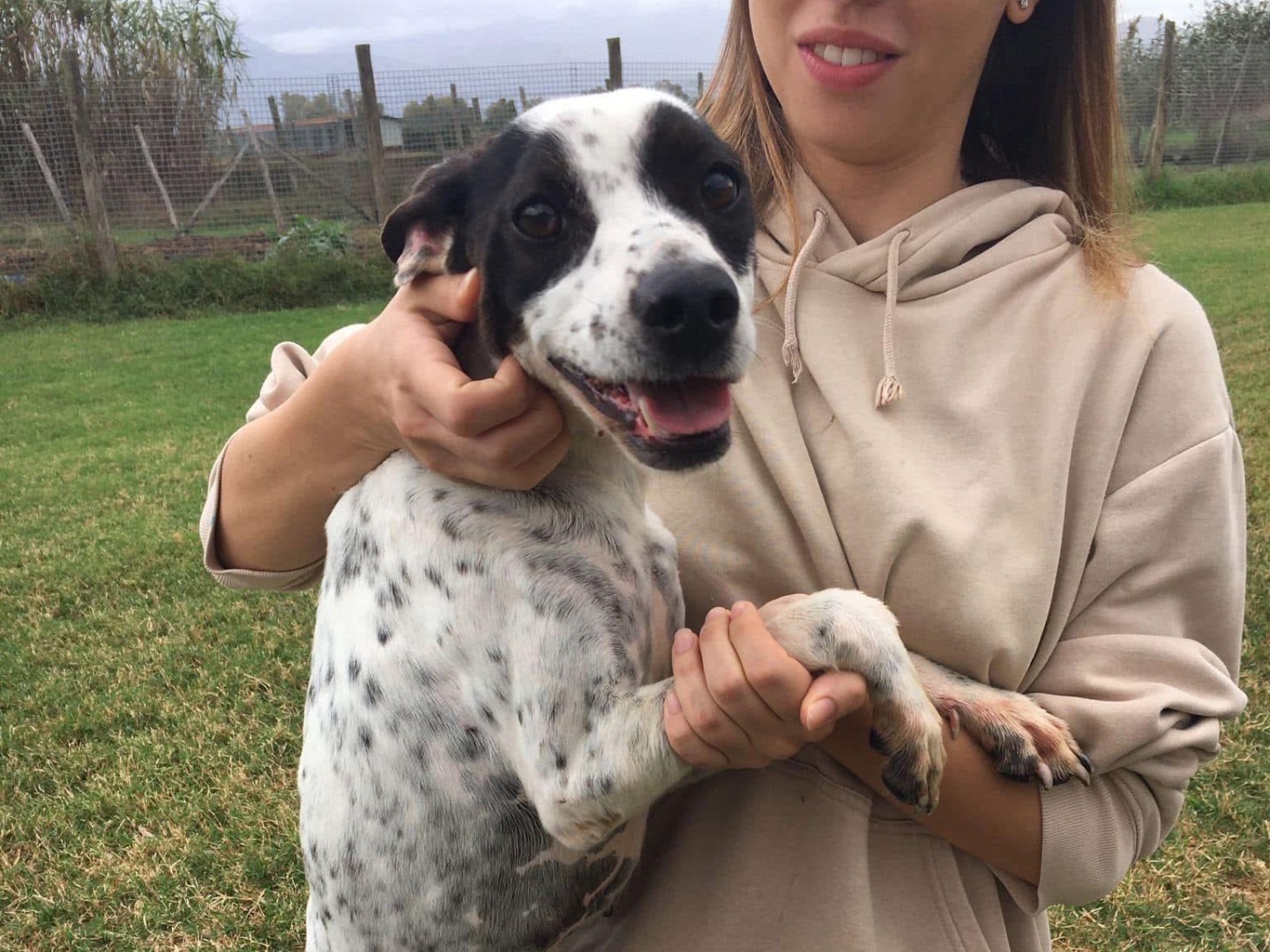 Adotta il cane ChaCha a Latina