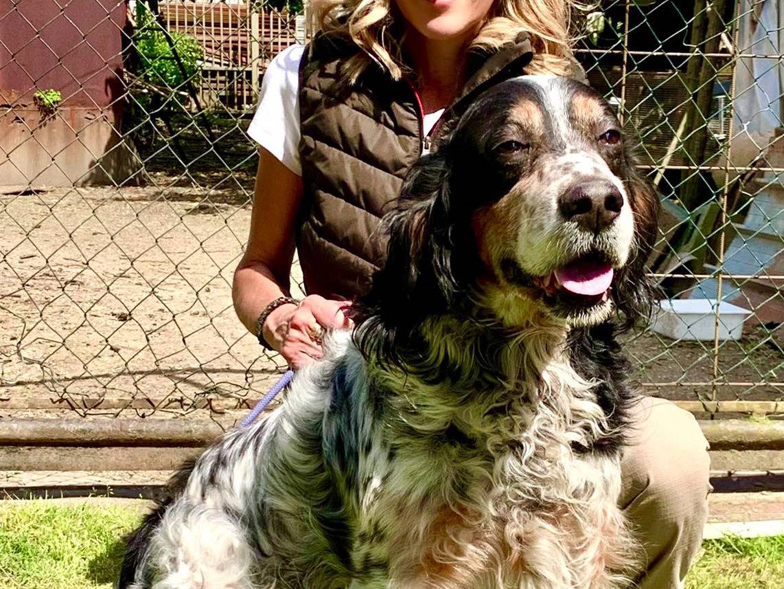 Foto dell'animale