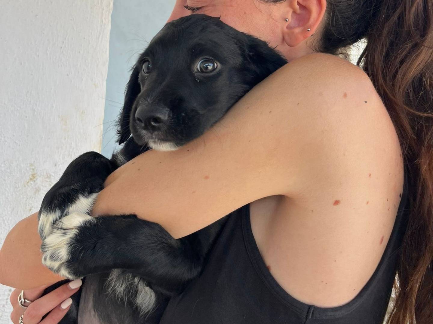 Vuoi adottare un cane a Caserta?