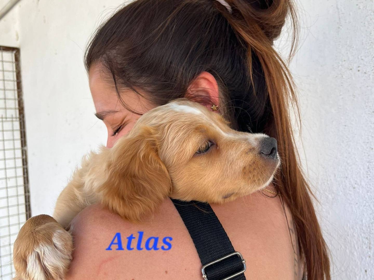Foto dell'animale